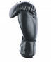 Перчатки боксерские INSANE ARES IN22-BG300, кожа, черный, 14 oz
