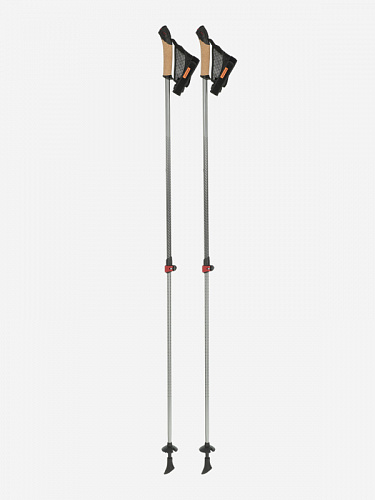107792-G4 Палка для треккинга (2шт) Nordic walking poles Tracking sticks (2 pcs), серый (One size)