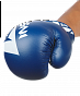 Перчатки боксерские INSANE MARS IN22-BG100, ПУ, синий, 4 oz